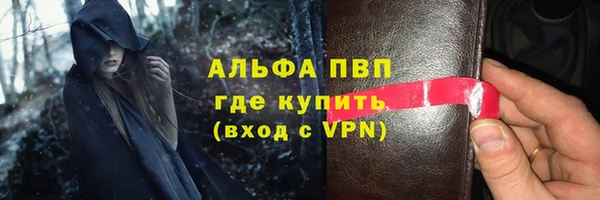 шишки Каменногорск