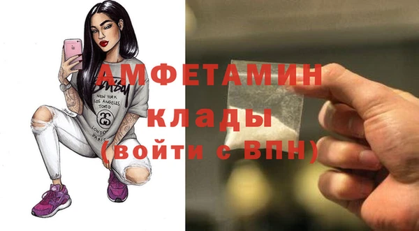 шишки Каменногорск