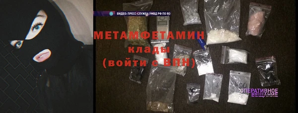 шишки Каменногорск