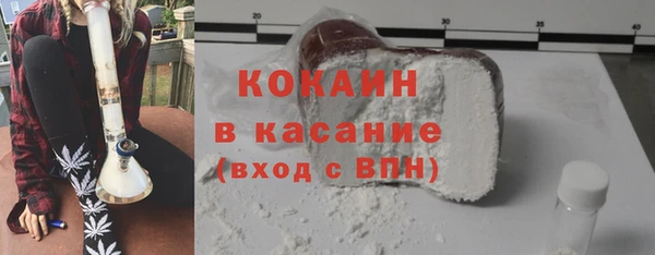 шишки Каменногорск