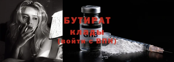 шишки Каменногорск