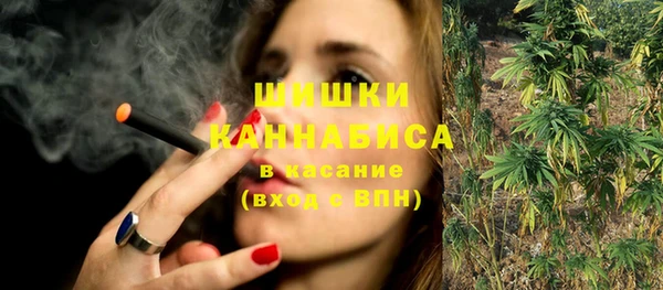 шишки Каменногорск