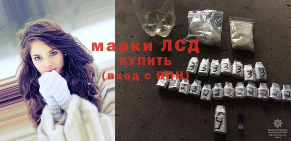 шишки Каменногорск